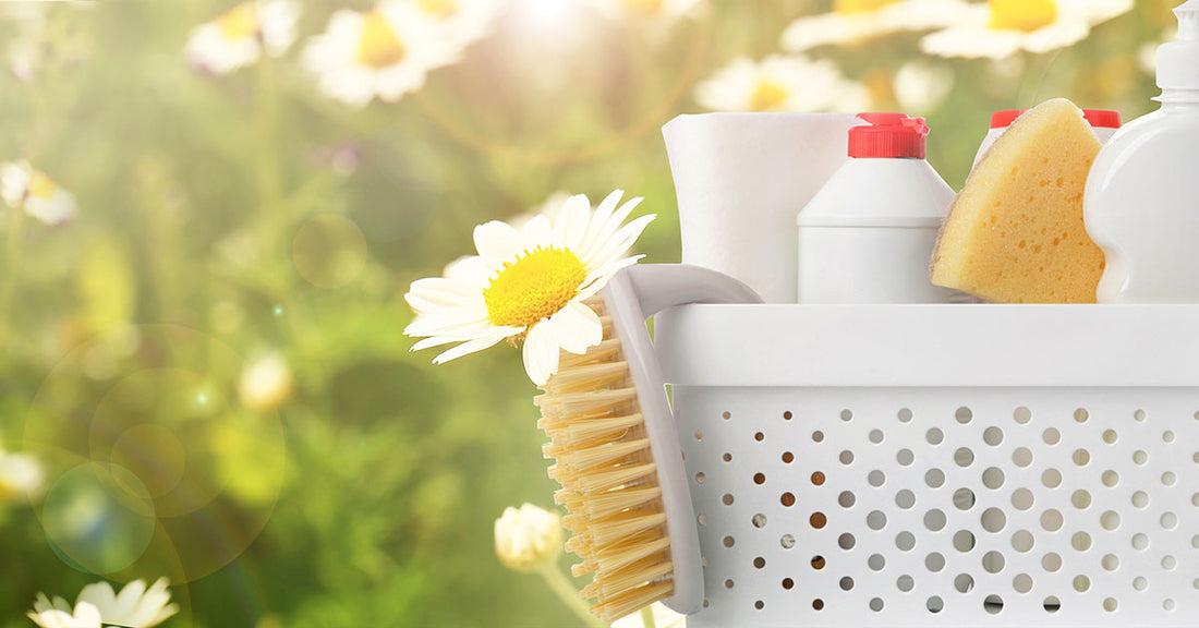 Spring Cleaning: Homemade Carpet Powder