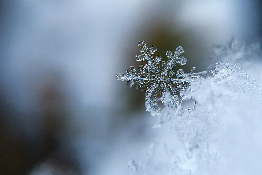 Fresh Snow Blend