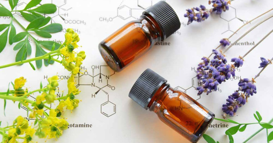 What are Essential Oils and how do they work