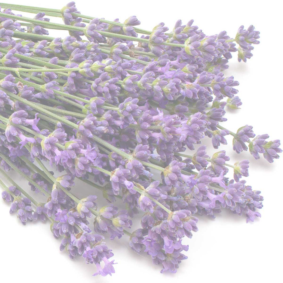 Organic Essential Oils