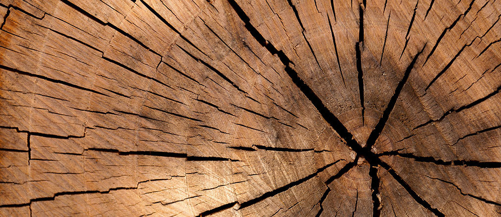 Woods & Resins
