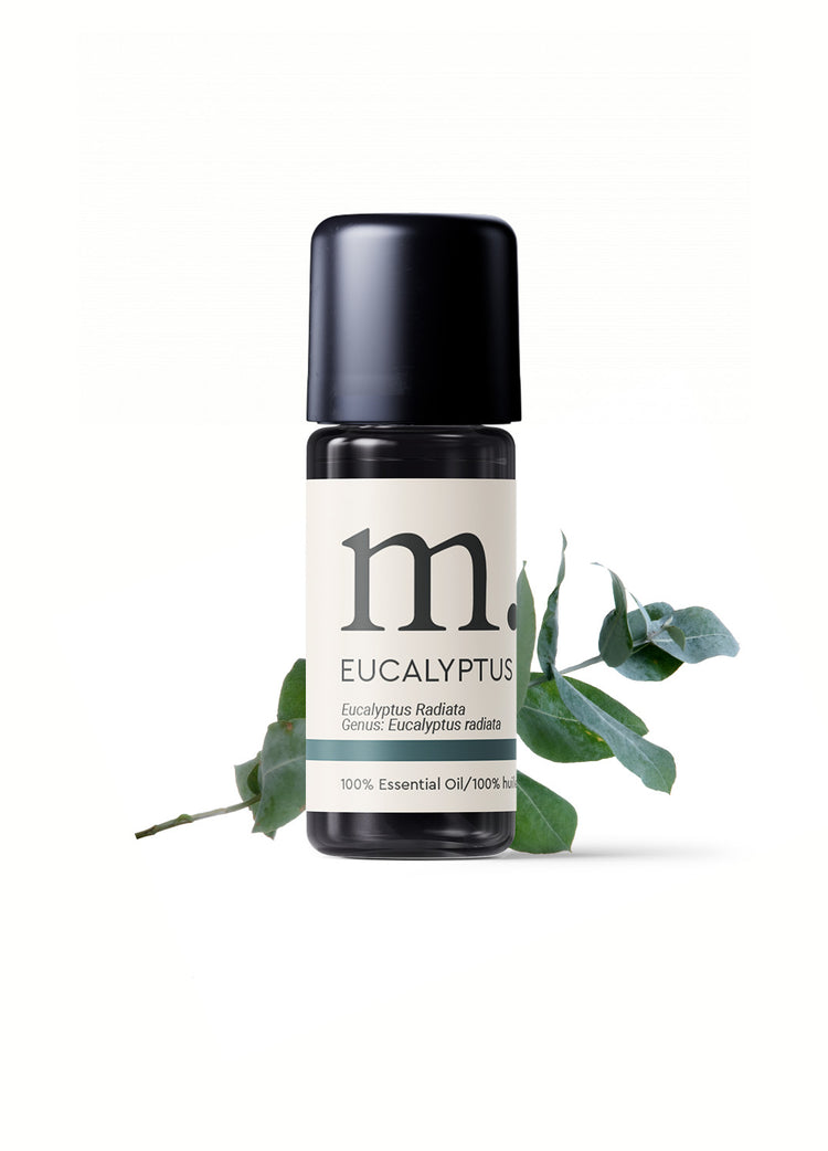 Eucalyptus Radiata Certified Organic Essential Oil Essential Oils Healingscents