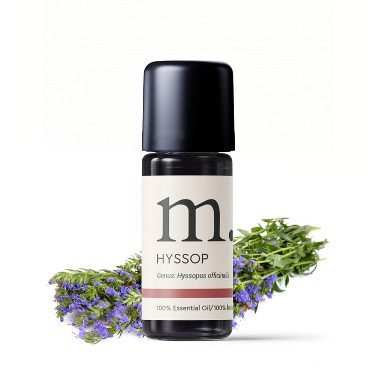 Hyssop Essential Oil Essential Oils Healingscents