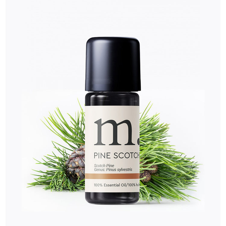 Pine Scots Essential Oil Essential Oils Healingscents