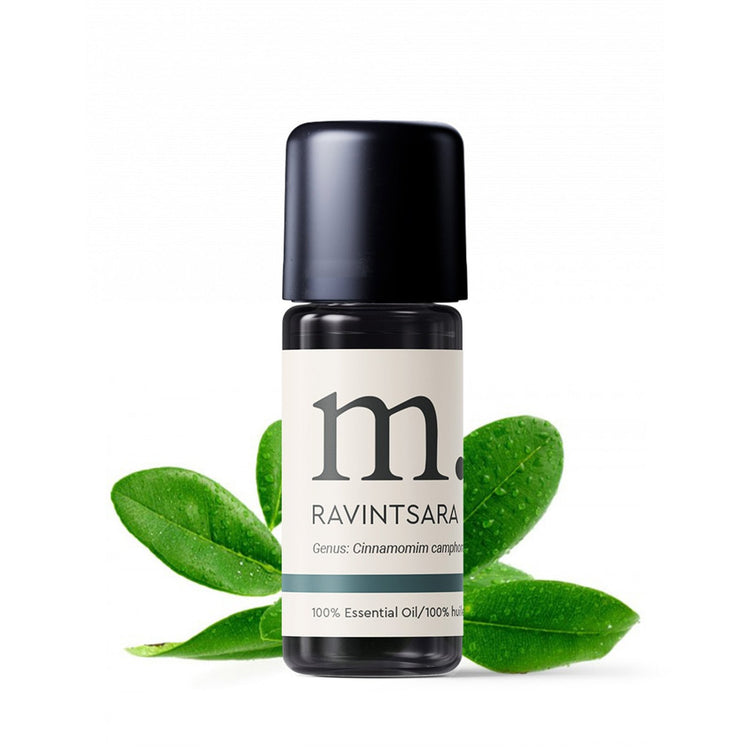 Ravintsara Essential Oil Essential Oils Healingscents