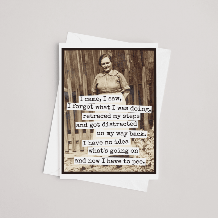 Funny Greeting Card. I Came, I Saw, I Forgot What I Was Doin Greeting Cards Raven&