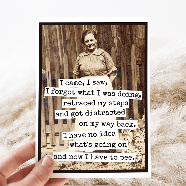 Funny Greeting Card. I Came, I Saw, I Forgot What I Was Doin Greeting Cards Raven&