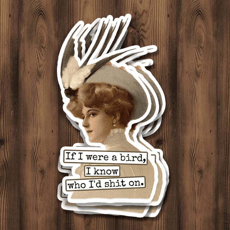 STICKER. If I Were A Bird I Know Who I&