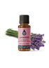 Lavandin Certified Organic Essential Oil Essential Oils Healingscents   