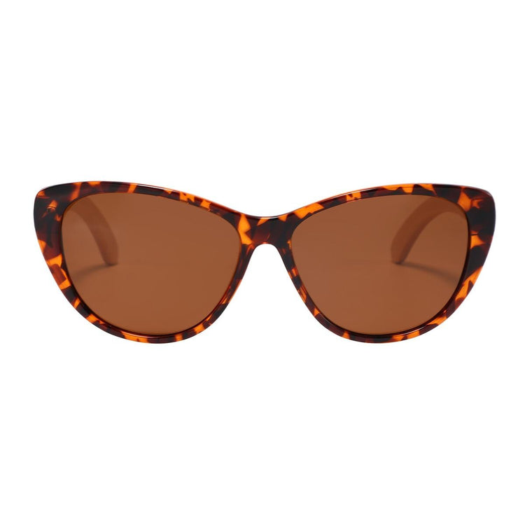 Kuma Polarized Sunglasses San Fransisco Sunglasses Kuma Sunglasses Tortoise