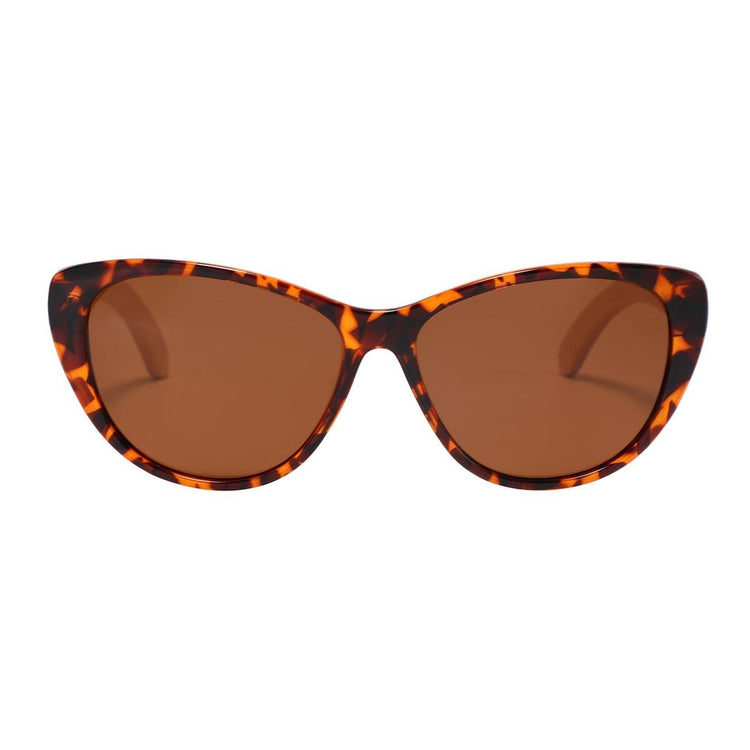 Kuma Polarized Sunglasses San Fransisco Sunglasses Kuma Sunglasses Tortoise  