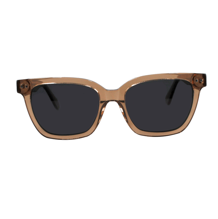 Shades X - Polarized Sunglasses | Model 29002 Sunglasses Ottika Group Ltd Lt Brown