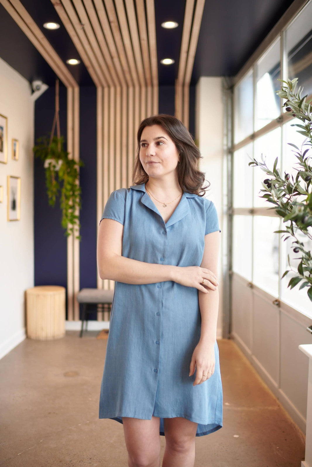 Cruz Shirt-Dress (other colours) Dresses Meemoza