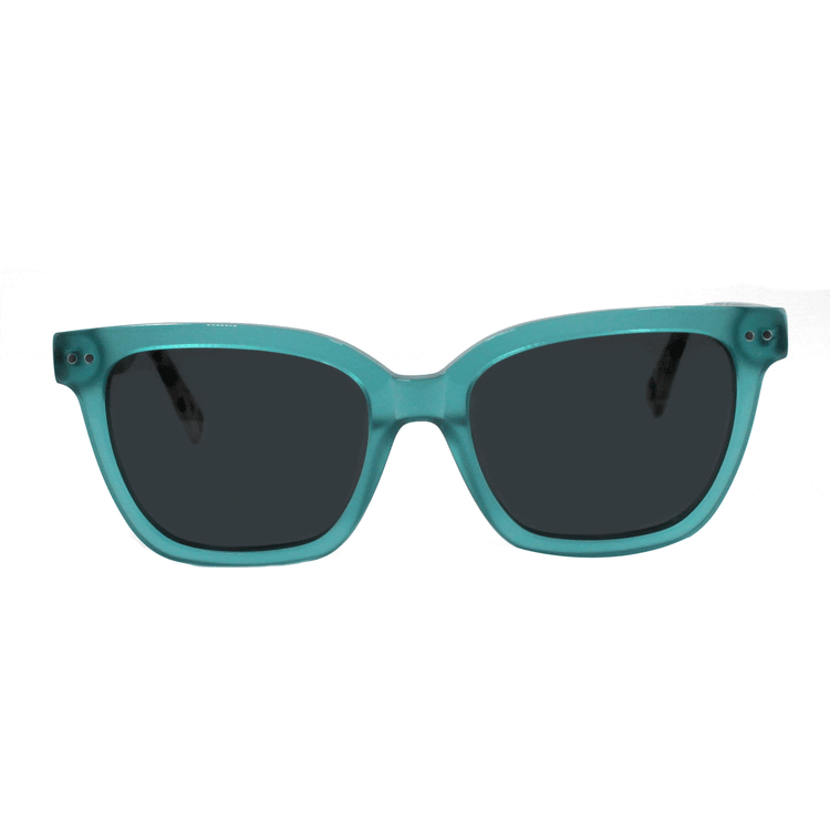 Shades X - Polarized Sunglasses | Model 29002 Sunglasses Ottika Group Ltd Green- Demi Brown