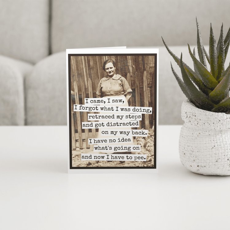 Funny Greeting Card. I Came, I Saw, I Forgot What I Was Doin Greeting Cards Raven&