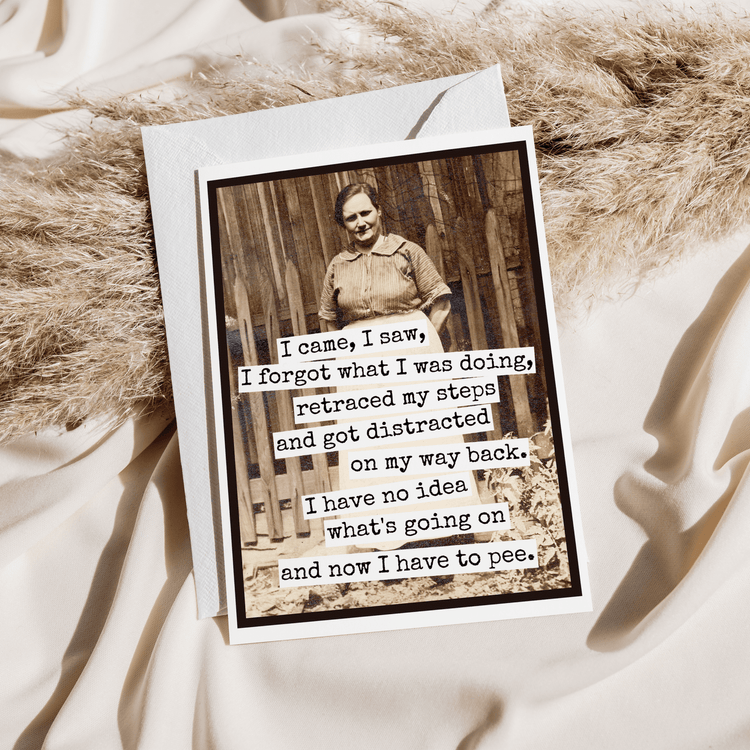 Funny Greeting Card. I Came, I Saw, I Forgot What I Was Doin Greeting Cards Raven&