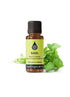 Basil Linalol Essential Oil Essential Oils Healingscents