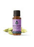 Brain Boost Synergy Blend Diffuser Blends Healingscents