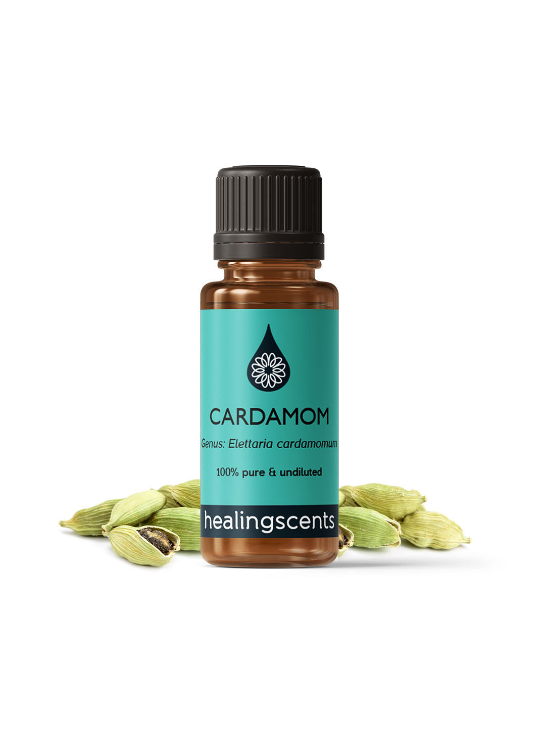 Cardamom Essential Oil Essential Oils Healingscents