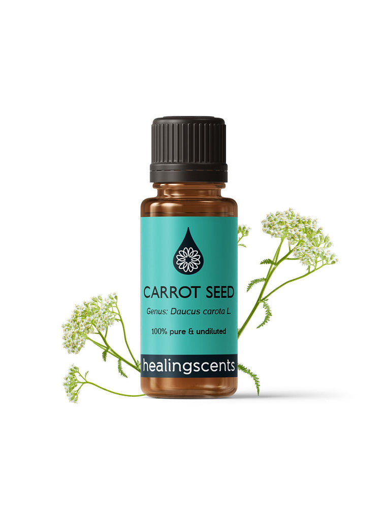 Carrot Seed Organic Essential Oil Essential Oils Healingscents