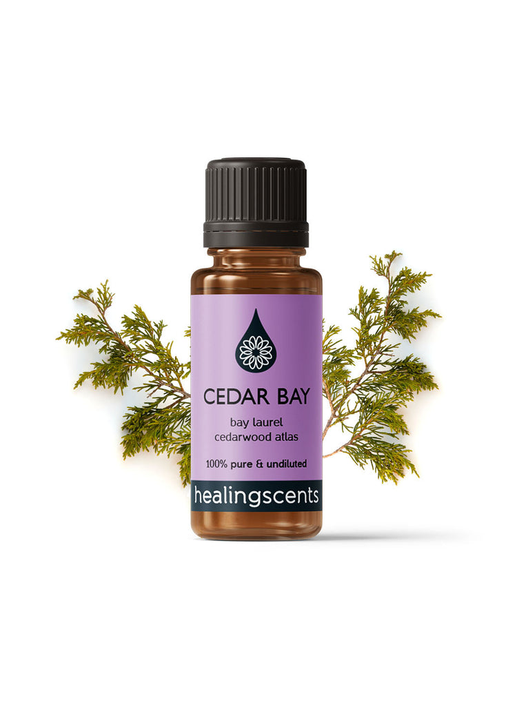 Cedar Bay Synergy Blend Diffuser Blends Healingscents   