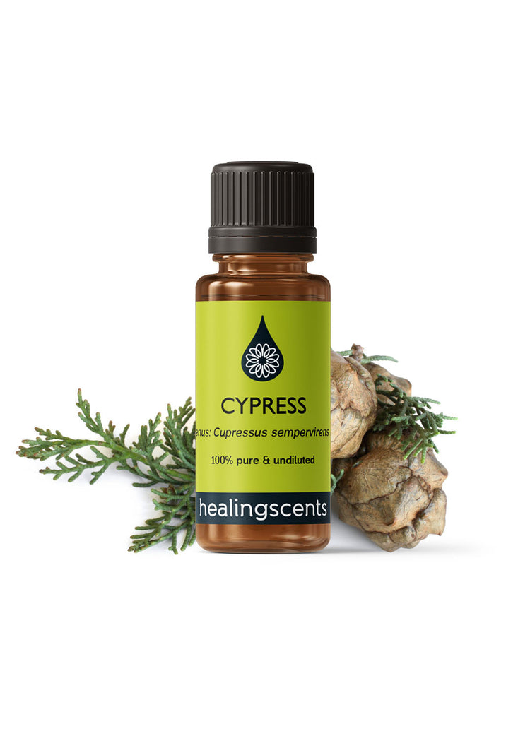 Cypress Organic Essential Oil Essential Oils Healingscents