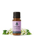 Euphoria Synergy Blend Natural Perfumes Healingscents