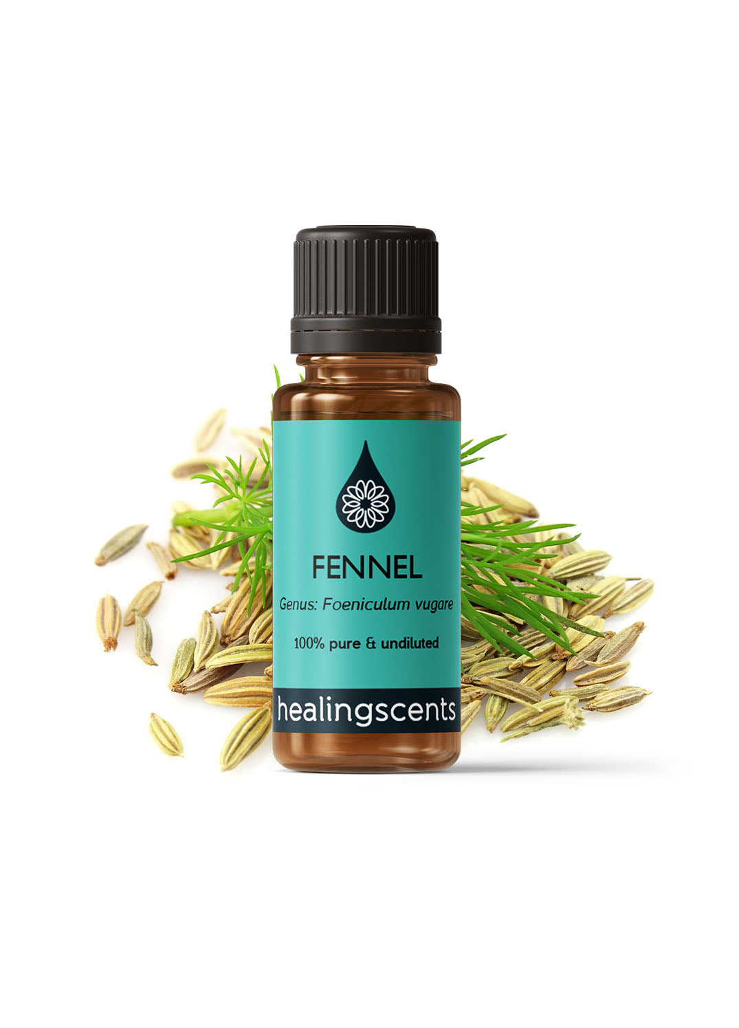 Fennel Sweet Organic Essential Oil Essential Oils Healingscents   