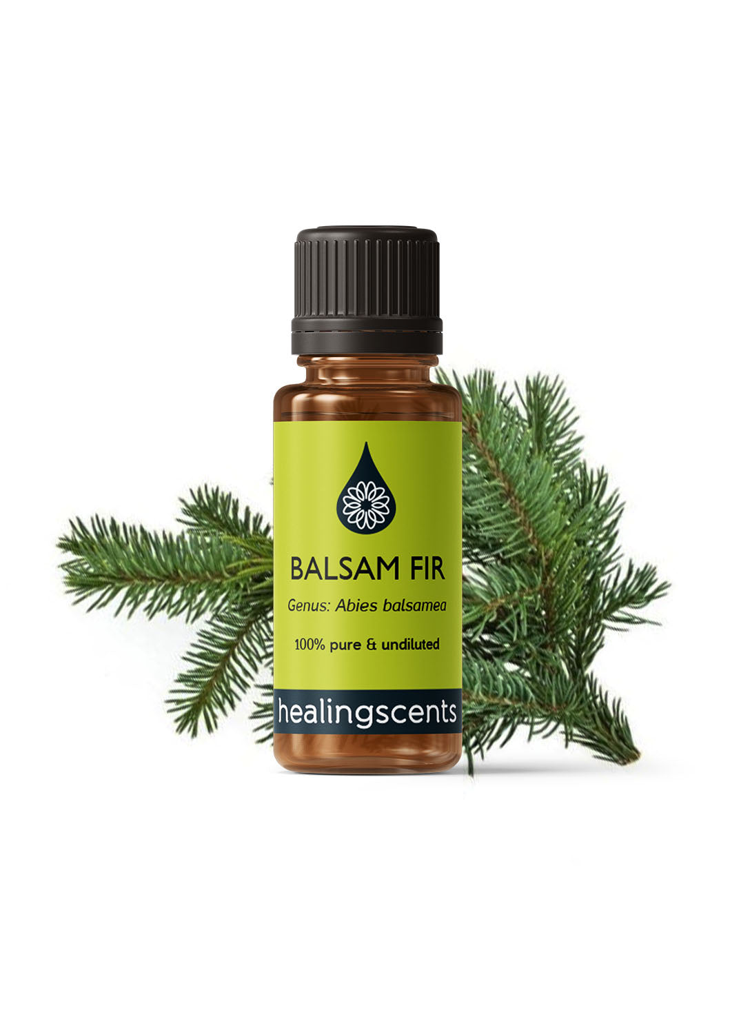 Fir Balsam Essential Oil Essential Oils Morgans Apothecary