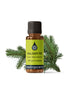 Fir Balsam Essential Oil Essential Oils Morgans Apothecary