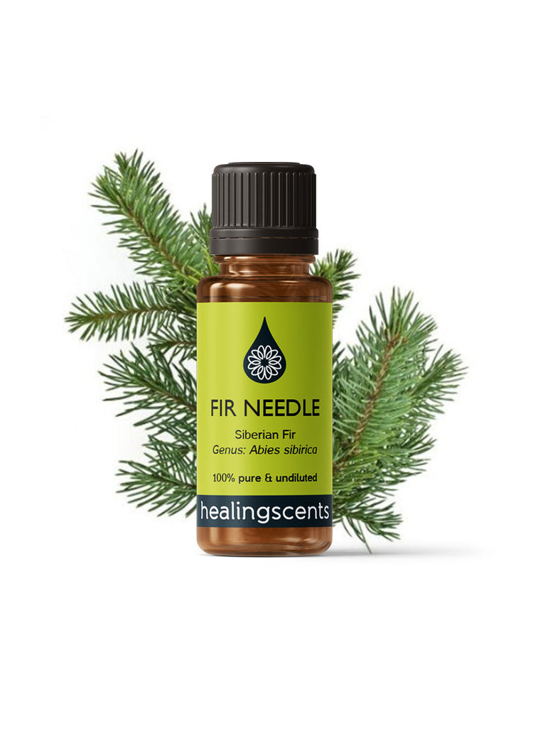 Fir Needle Essential Oil Essential Oils Healingscents   