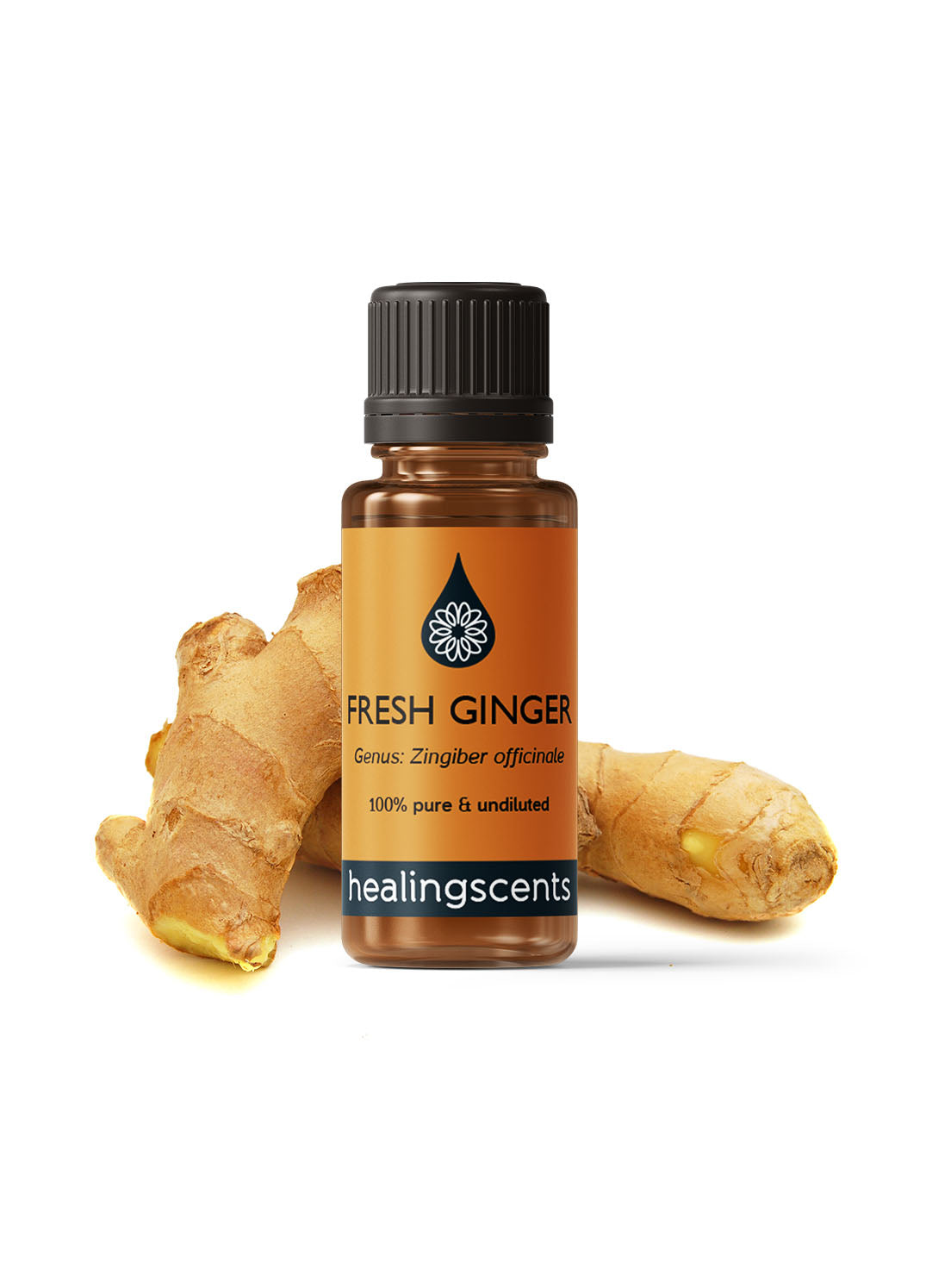 Ginger Fresh Organic Essential Oil Essential Oils Morgans Apothecary