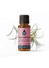 Helichrysum Italicum Wild Harvest Essential Oil Essential Oils Healingscents