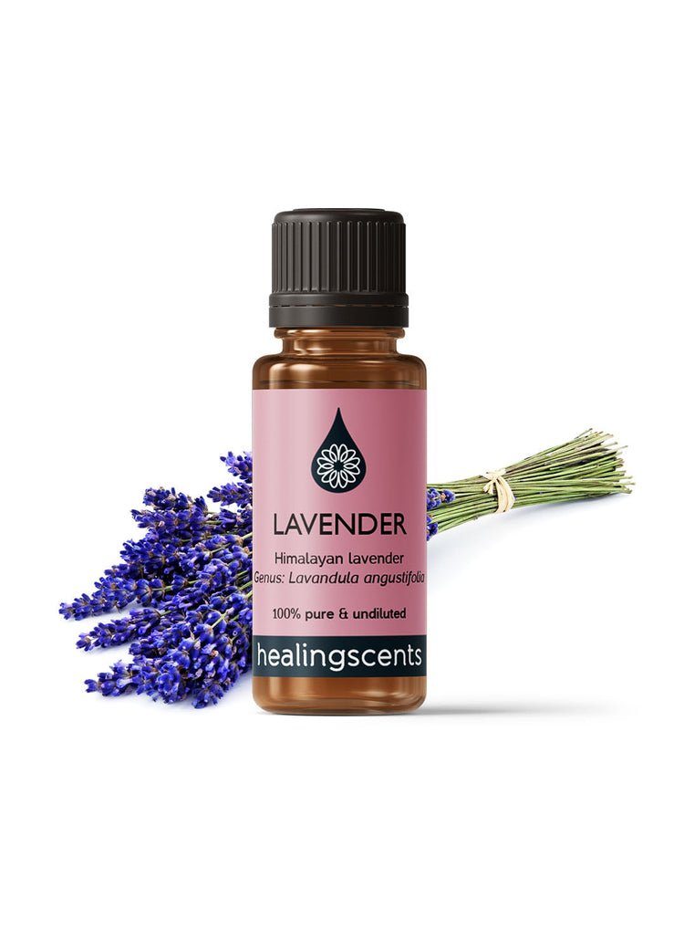 Lavender Himalayan High Alpine Essential Oil Essential Oils Healingscents