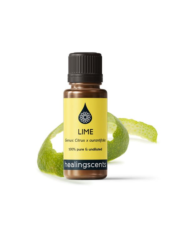 Lime Essential Oil Essential Oils Healingscents