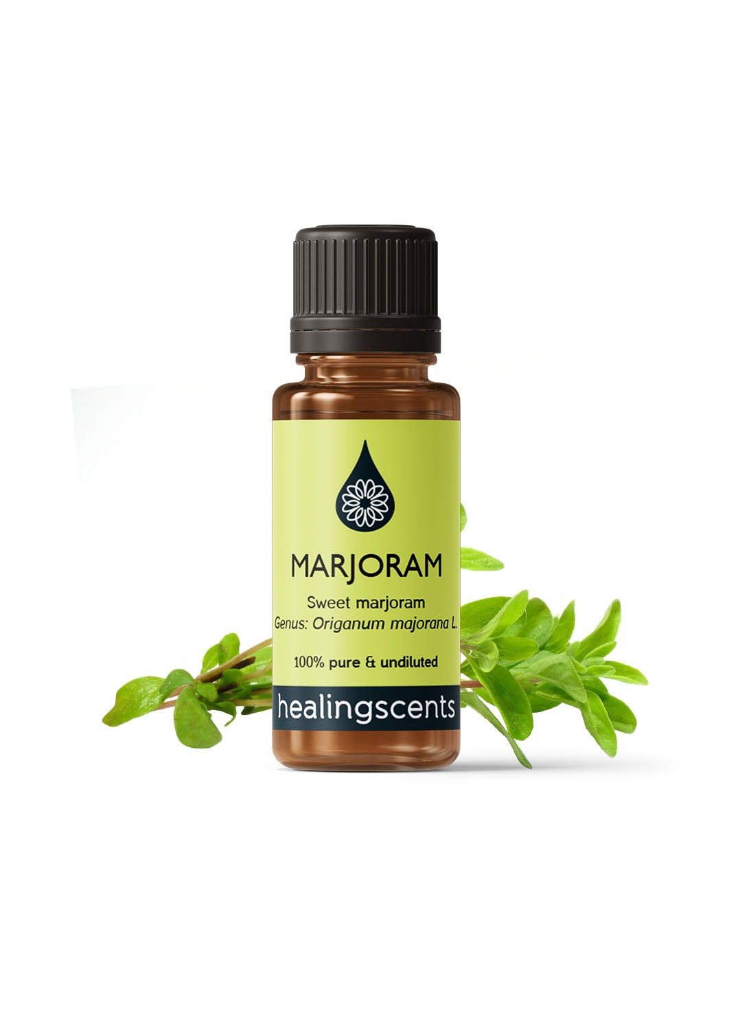 Marjoram Sweet Essential Oil Essential Oils Healingscents