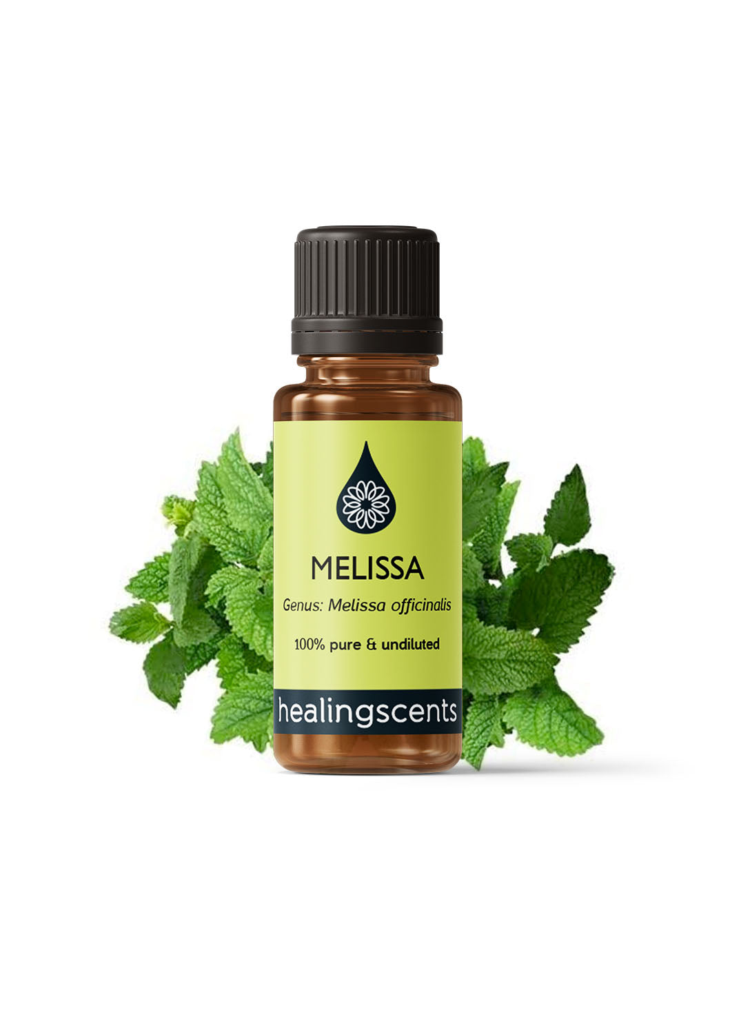 Melissa Certified Organic Essential Oil Essential Oils Healingscents