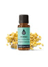 Myrrh Wild Harvest Essential Oil Essential Oils Healingscents
