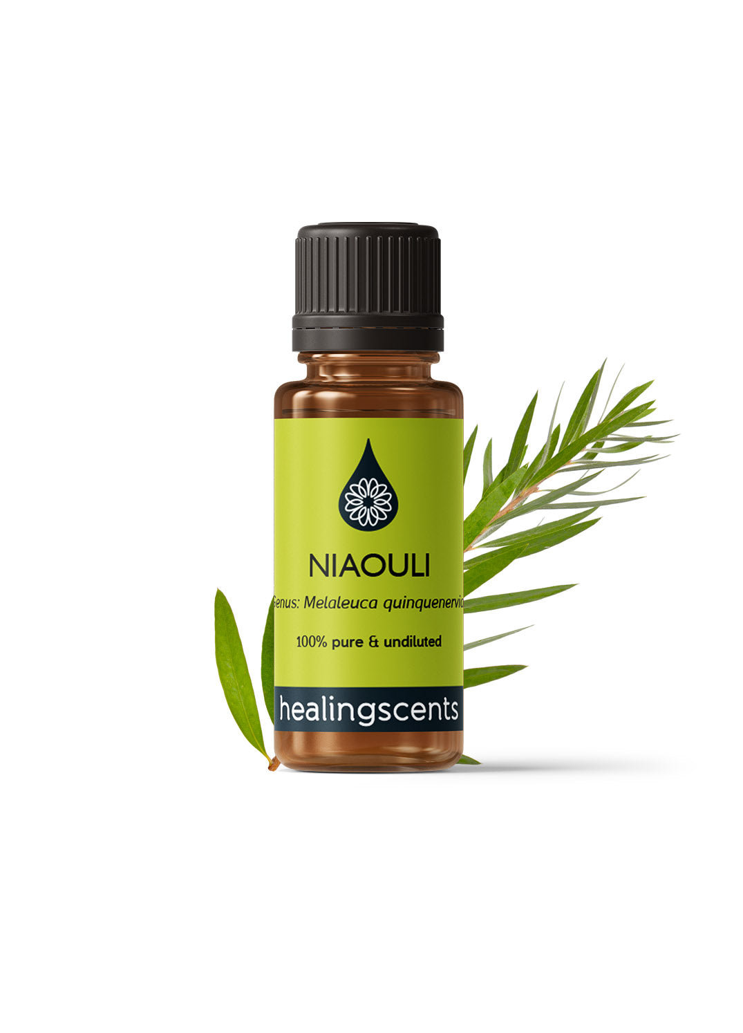 Niaouli Certified Organic Essential Oil Essential Oils Morgans Apothecary