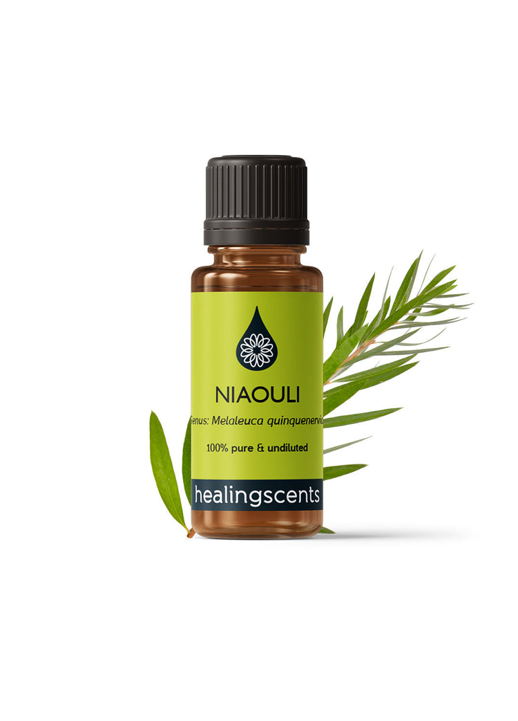 Niaouli Certified Organic Essential Oil Essential Oils Healingscents