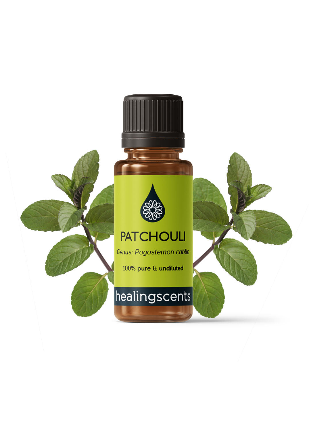 Patchouli Organic Essential Oil Essential Oils Healingscents
