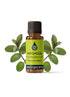 Patchouli Organic Essential Oil Essential Oils Healingscents
