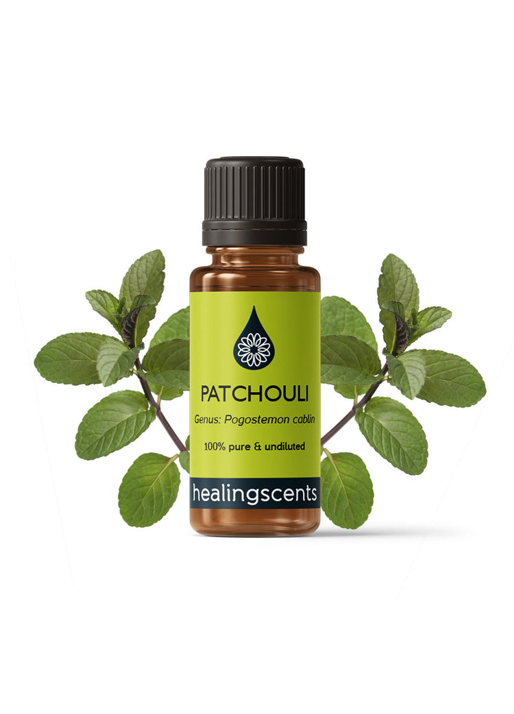 Patchouli Organic Essential Oil Essential Oils Healingscents