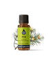Pine Scots Essential Oil Essential Oils Healingscents