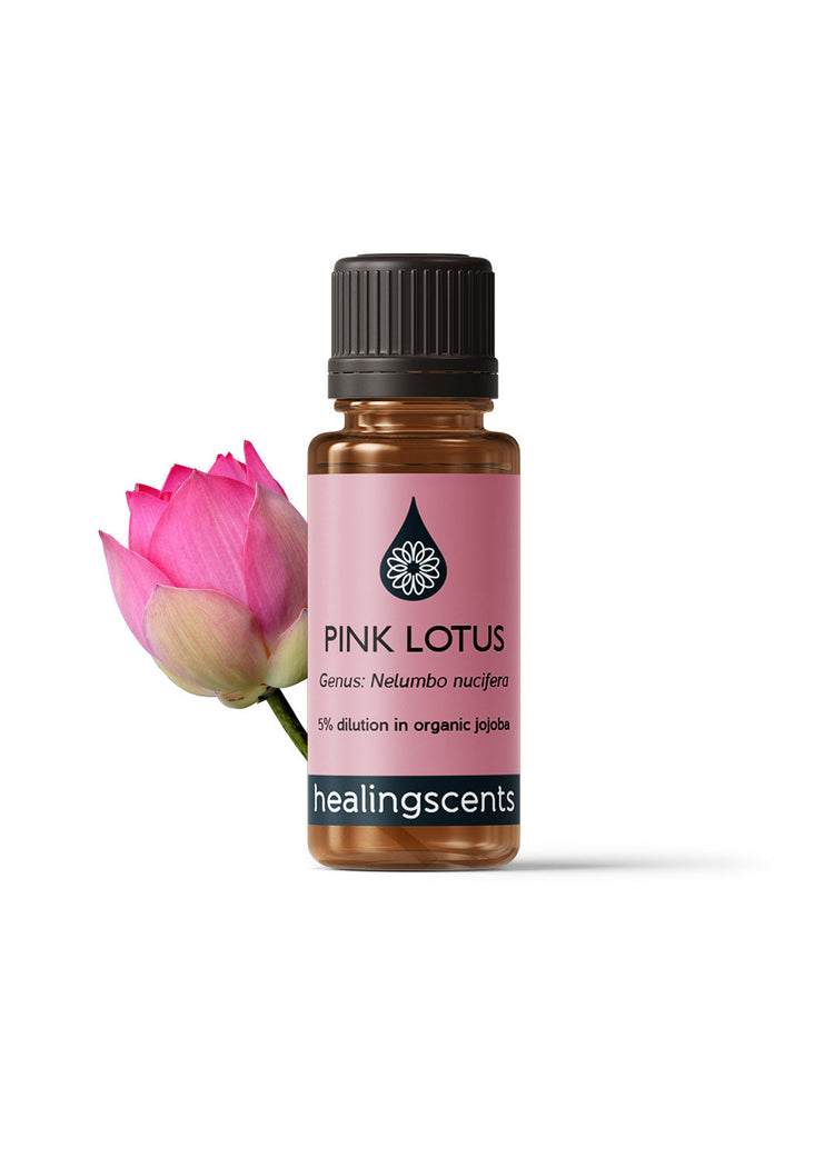 Lotus Pink Absolute Absolutes Healingscents