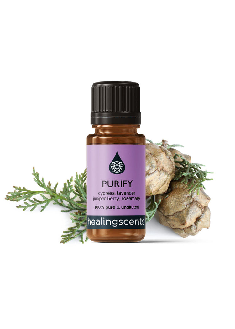 Purify Synergy Blend Diffuser Blends Healingscents