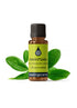 Ravintsara Essential Oil Essential Oils Healingscents