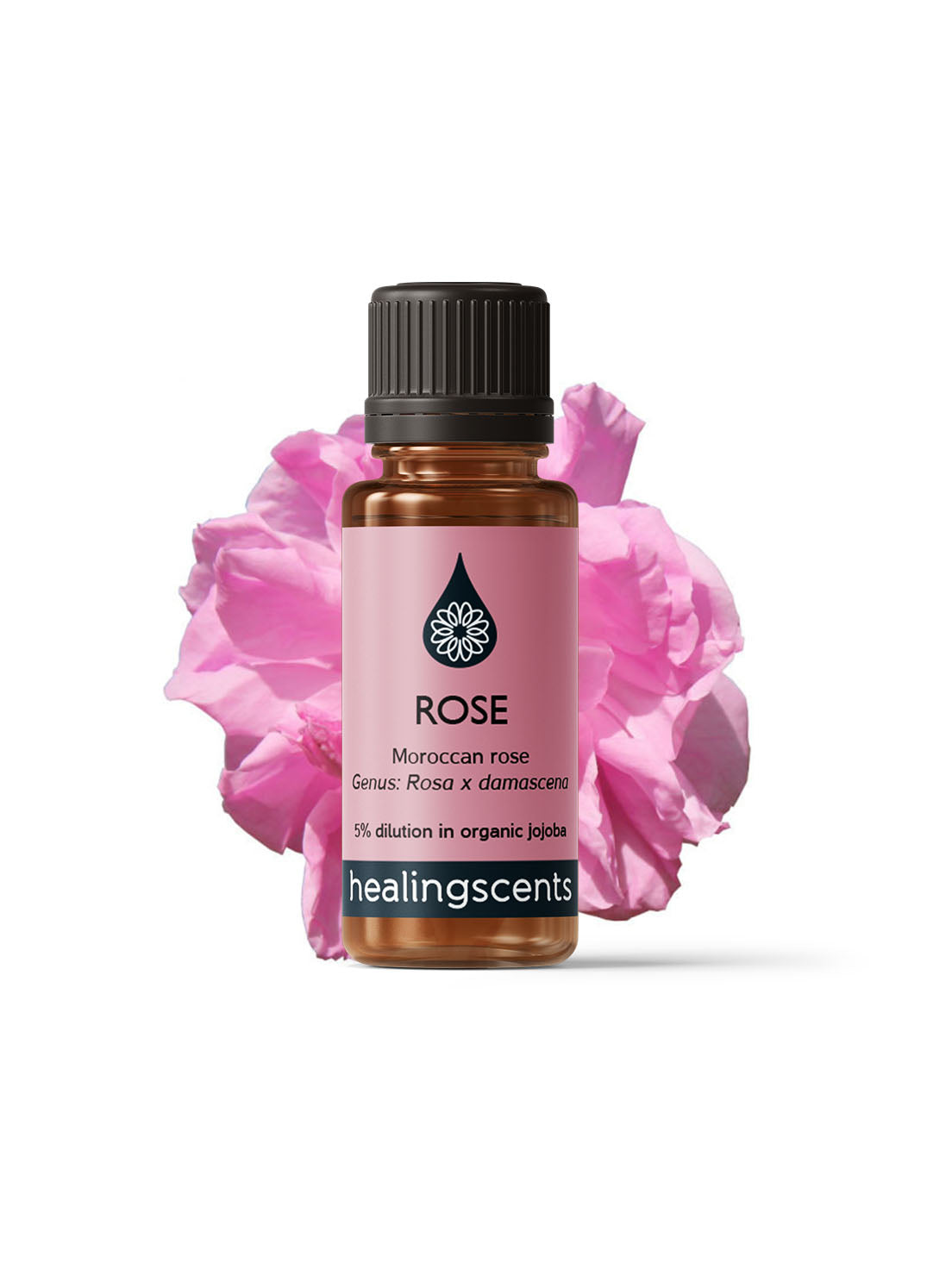 Rose Absolute (Morocco) Absolutes Healingscents