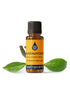 Sandalwood Wild Harvested Essential Oil Essential Oils Healingscents