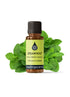 Spearmint Organic Essential Oil Essential Oils Healingscents